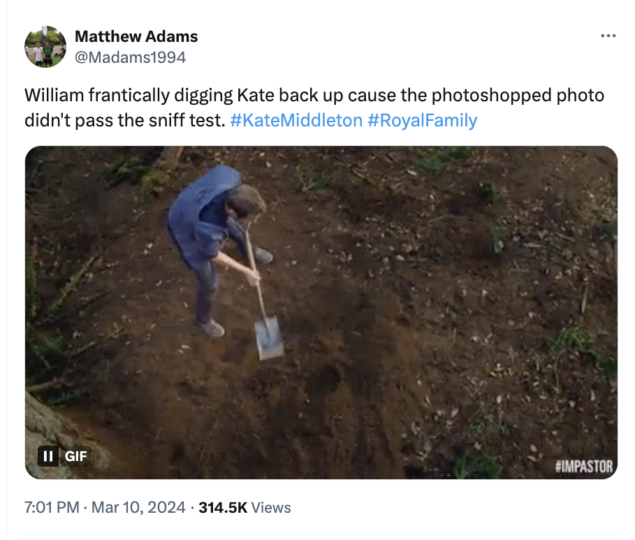 soil - Matthew Adams William frantically digging Kate back up cause the photoshopped photo didn't pass the sniff test. Middleton Ii Gif Views